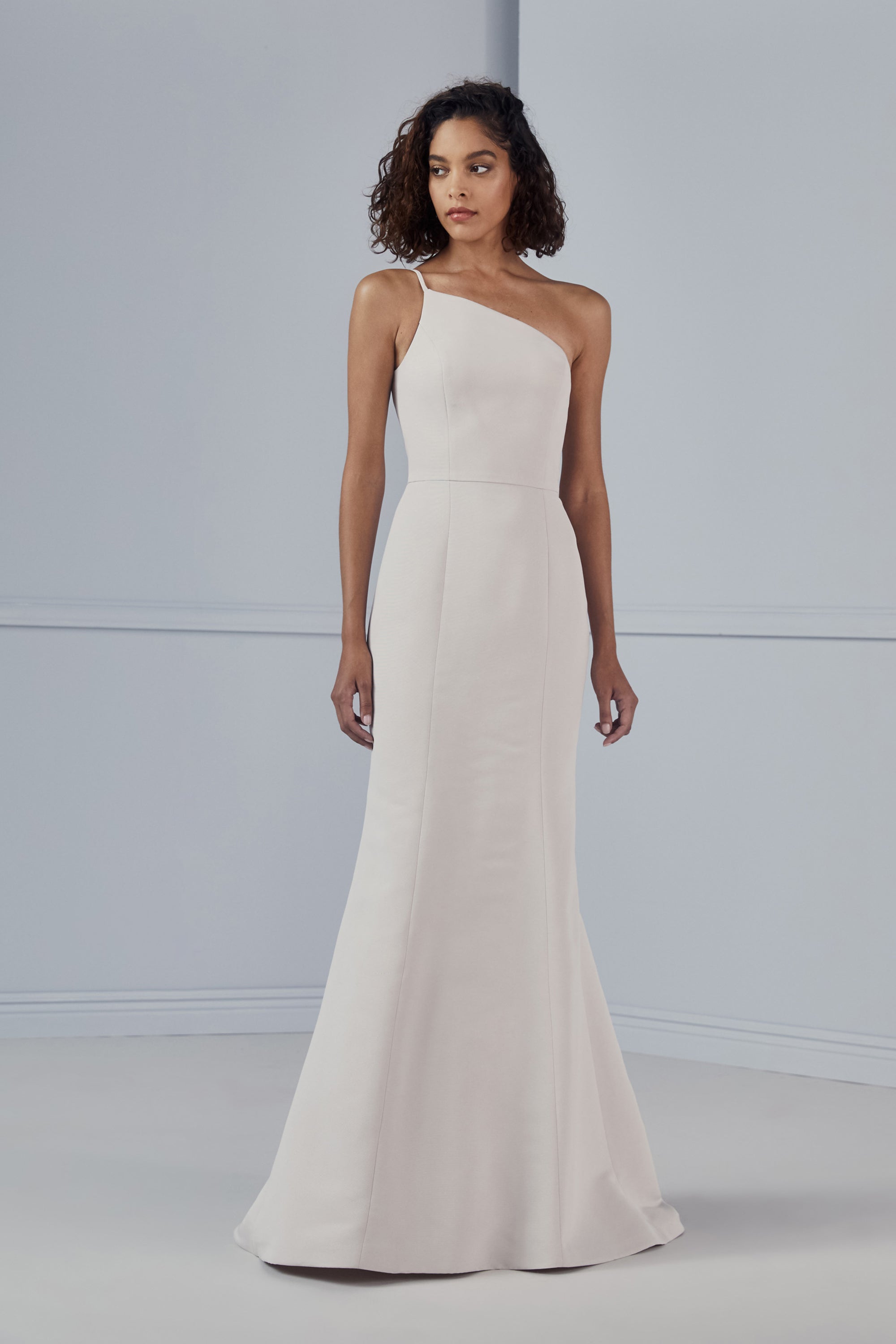 Amsale Bridesmaid Dress Cecilia Champagne Amsale Bridesmaid Dress Cecilia Champagne