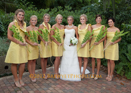 Our Bella Bridesmaids (08/01/2012 EDITION)