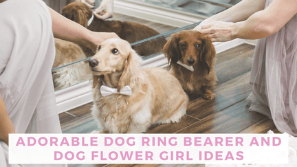 Adorable Dog Ring Bearer and Dog Flower Girl Ideas 