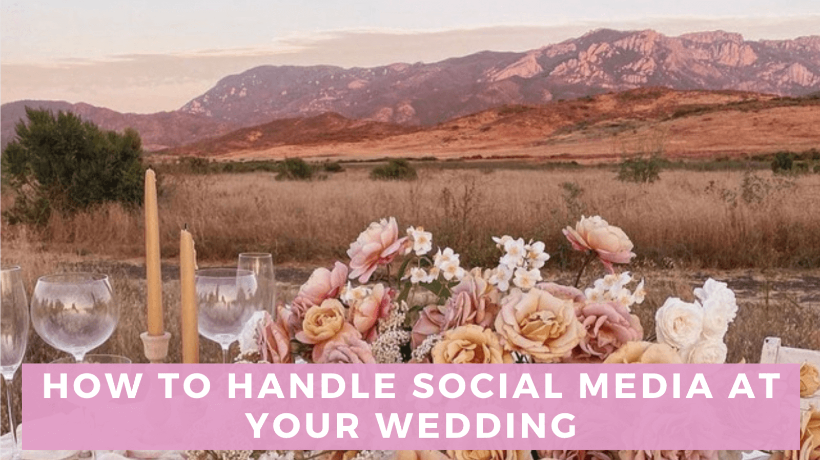 How to Manage Social Media at Your Wedding | Bella | Bella Bridesmaids